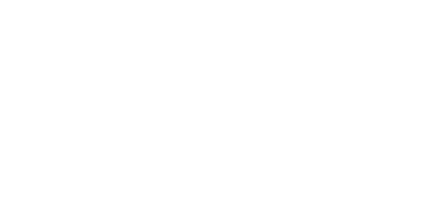 Dementia Family Support